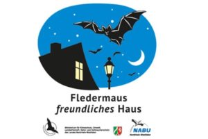 fledermaus