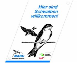 schwalben